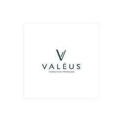 VALEUS Transactions immobilières Le Mans | Real estate SEO VALEUS Transactions immobilières Le Mans | Real estate SEO