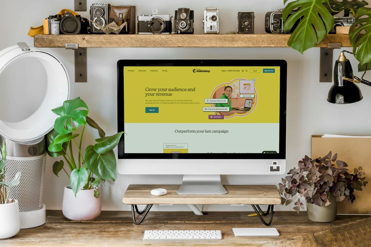 organic SEO: how much does it cost?